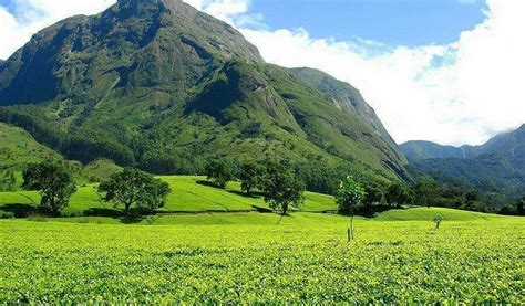 Mulanje mountain in Malawi | Africa travel, Malawi, Africa