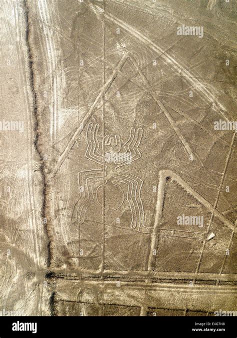 Arana (Spider), Lines and Geoglyphs of Nazca, UNESCO World Heritage ...