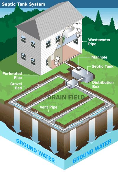 How Systems Work - Environmental Health