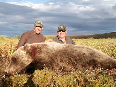 Grizzly Bear Hunting Gallery | Arctic North Guides