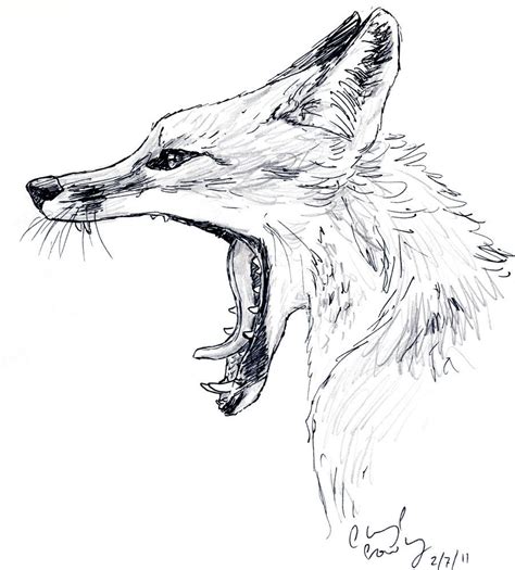 Animal sketches, Animal drawings, Fox artwork