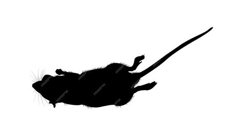 Premium Vector | Dead black rat silhouette vector