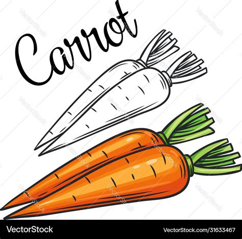 Carrot drawing icon Royalty Free Vector Image - VectorStock