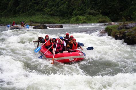 Kitulgala White Water Rafting - Study in Srilanka