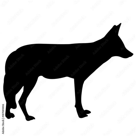 Jackal Silhouette Vector Graphics Stock Vector | Adobe Stock