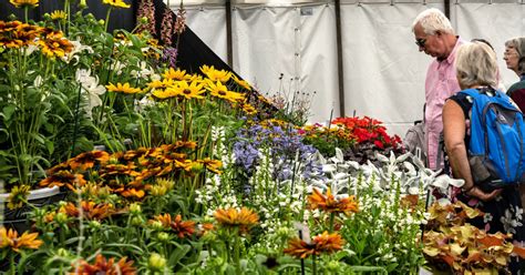 Sandringham Flower Show - 26th July 2023