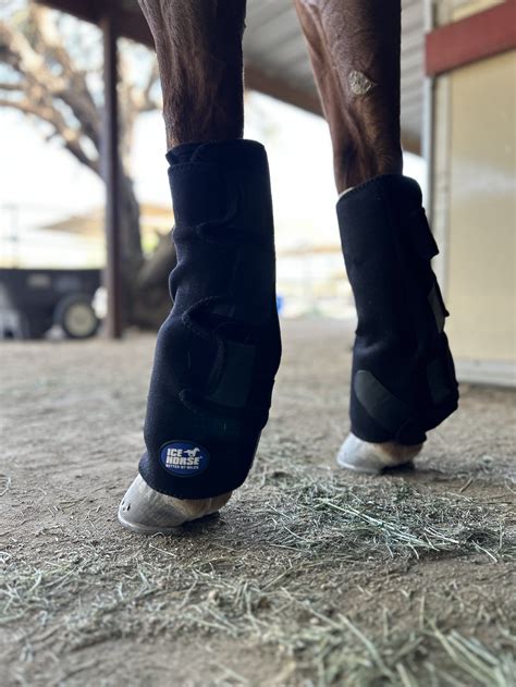 The Benefits of Using Ice Boots for Horses — CAROLINE ARENDT