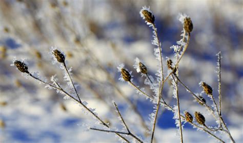 The Retirement Chronicles: Hoarfrost: Part TWO!