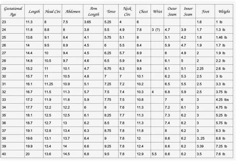 Kaitlin's Angels: Gestational Size Chart