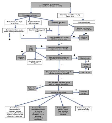 Chronic Pancreatitis Pain Management Guidelines - Mission: Cure