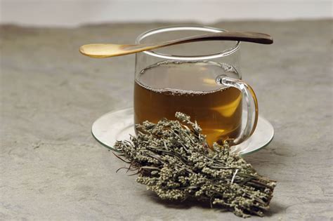 Mugwort Tea: Delicious Drink with Plenty of Healthy Benefits