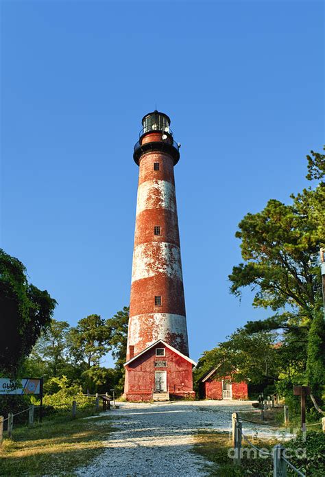 Assateague Lighthouse Photograph by John Greim - Fine Art America