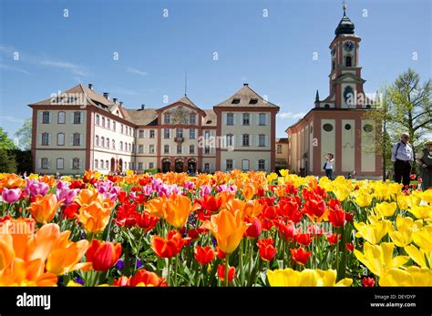 Schloss Mainau Castle and a colourful tulip field, Insel Mainau ...