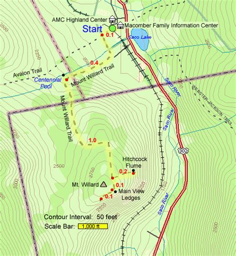 Mount Willard NH: Trail Map, Pictures, Description & Nearby Hikes