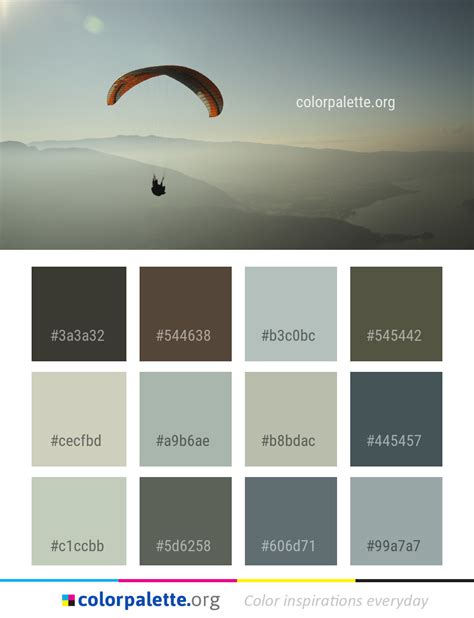 Parachute Color Palette ideas | colorpalette.org