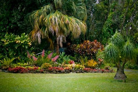 Gardens | Maui Guidebook