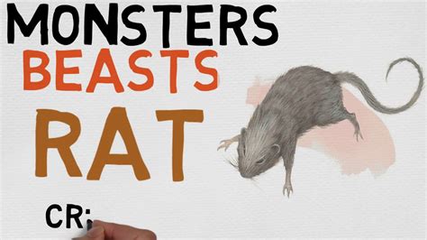 Beast #24: Rat (DnD 5E Monsters) - YouTube