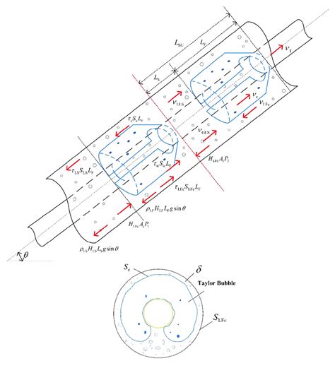 Schematic diagram of slug flow velocity and force analysis in the... | Download Scientific Diagram