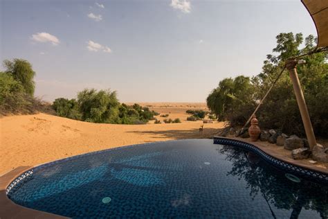 Al Maha, a Luxury Collection Desert Resort & Spa, Dubai - wild man life