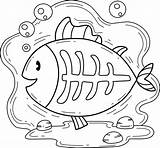 Xray Fish Coloring Pages With Images Fish Coloring English For Kids sketch template