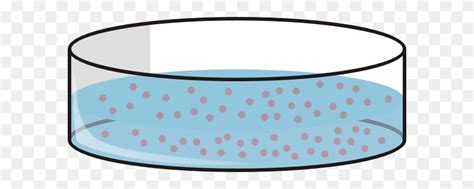 Cell Culture Petri Dish Clip Art Download petri dish images and photos