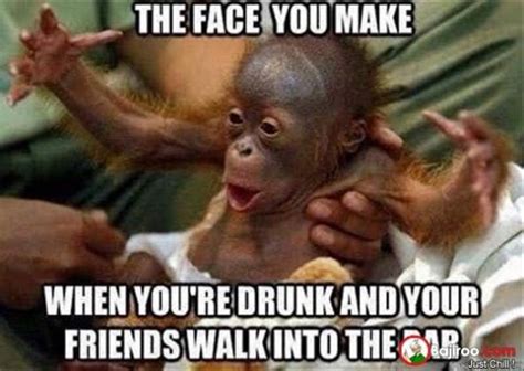 25 Funny Monkey Memes You'll Totally Fall In Love With - SayingImages.com