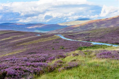 Cairngorms National Park - Inspire My Holiday