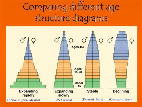 Types Of Age Structure Diagrams