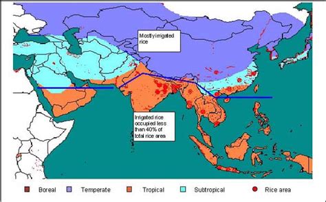 Chapter III. Rice in producing countries - V.N. Nguyen and D.V. Tran