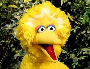 'I love Big Bird': Sesame Street character was a hit during ...