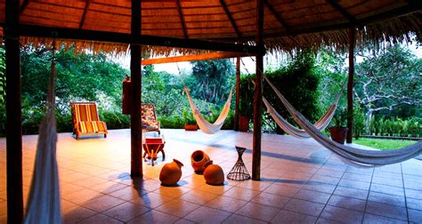 Amazon Rainforest Eco Park Lodge | 4* & 5* Brazil Jungle Tours