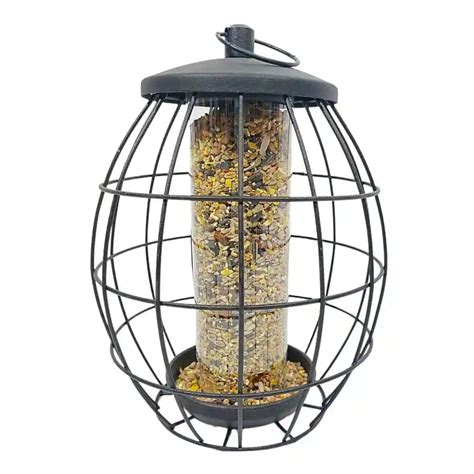 Squirrel Resistant Bird Seed Feeder - Flyte so Fancy