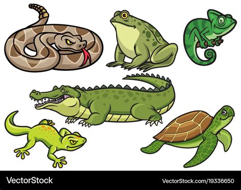 Set Reptiles Amphibians Wild Crocodile Snake Stock Vector, 44% OFF