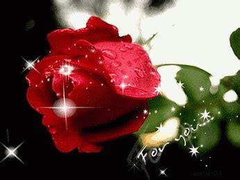 love red rose gif - Clip Art Library