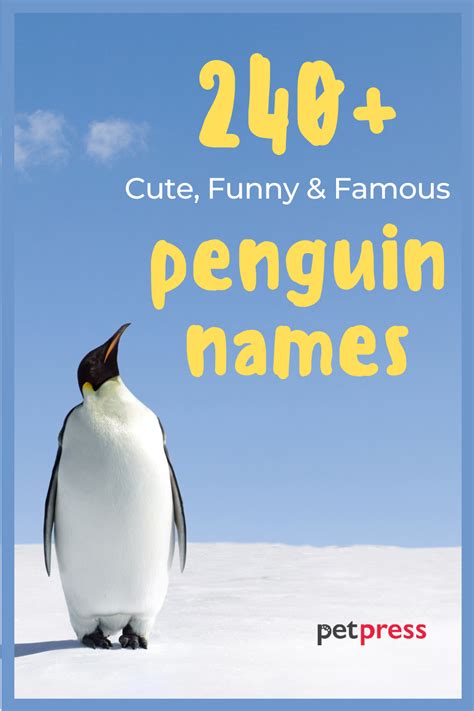 240+ Penguin Names (Cute, Funny, Good, and Famous Names)