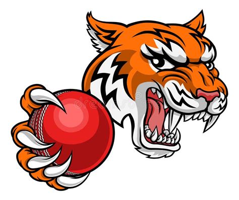 Tiger Cricket Player Animal Sports Mascot Stock Vector - Illustration ...