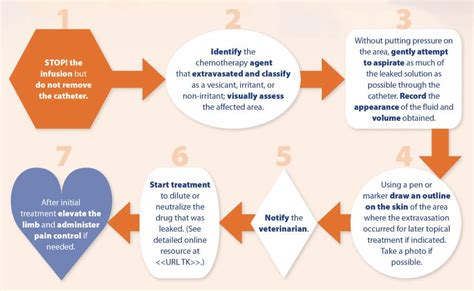 Chemotherapy Extravasation | Hot Sex Picture