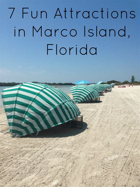 7 Fun Marco Island Attractions - Wine in Mom