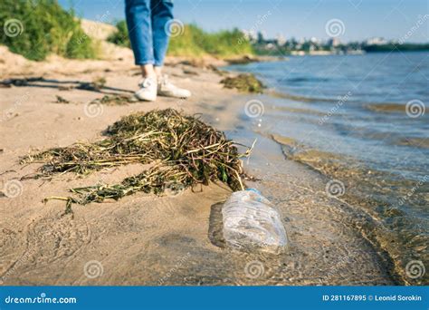 Picking Up Trash at the Beach. Woman Collect Plastic Bottles Stock ...