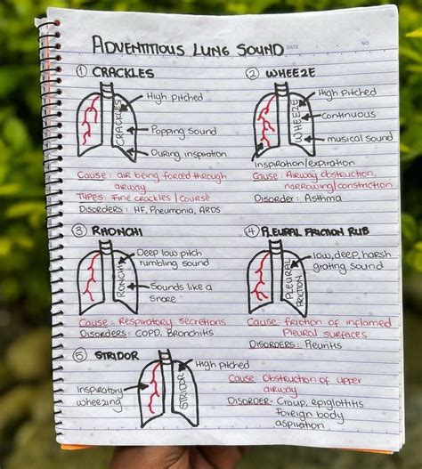 Adventitious Lung Sounds - MEDizzy