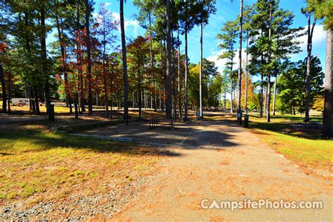 White Oak Lake State Park - Campsite Photos & Reservations