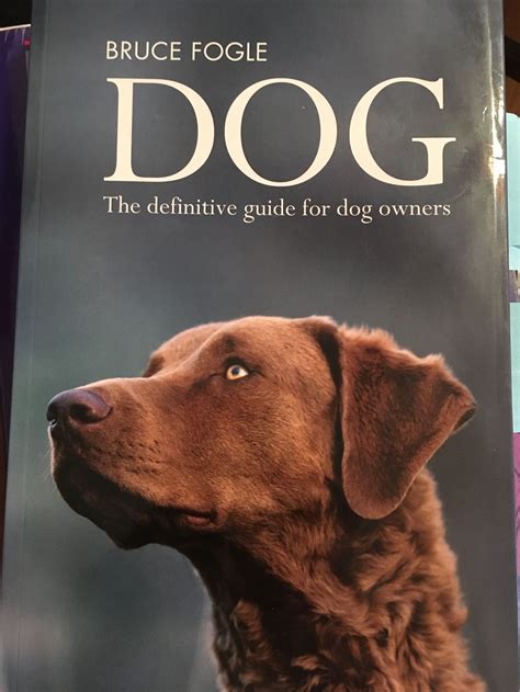 Dog Books, Dog Owners, Dog Training, Labrador Retriever, Dogs, Animals ...