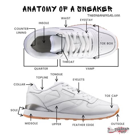 Parts of a Shoe: Understand the Essentials