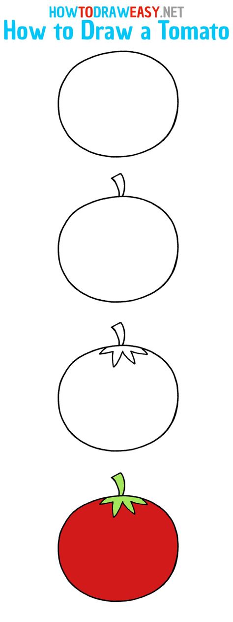 How to Draw a Tomato Easy Step by Step | Tomato drawing, Drawing ...