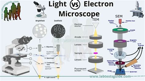 Difference Between Light Microscope and Electron Microscope | Lab Tests Guide