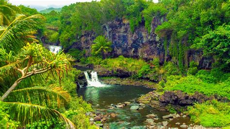 See the Seven Sacred Pools at Oheo along Maui’s famous Road to Hana!