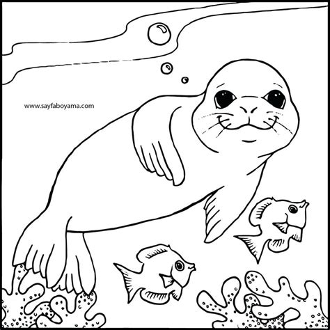 Seal Coloring Sheet Coloring Pages