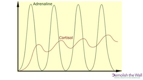 Adrenaline and Cortisol graph - Care Management Matters