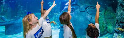 Book SEA Life Orlando Tickets | Updated 2021