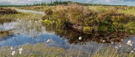 Blanket Bog Restoration • Northumberland National Park